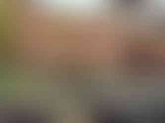 detail vijver en schaaldelen schutting