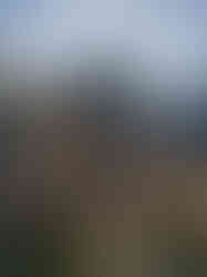 het maken van een schutting van rondhout