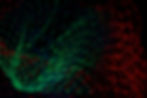 Play%20with%20UV%20light._edited.jpg