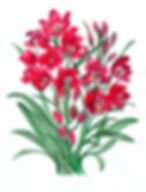 orquidea2.jpeg
