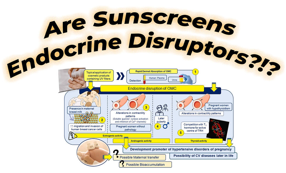 What's In Your Sunscreen, Part3: Are Sunscreens Endocrine Disruptors?