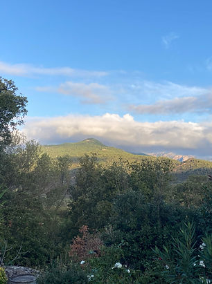 Ausblick