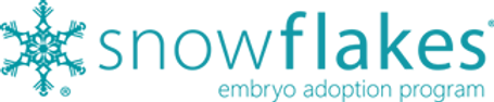 Nightlight snowflakes embryo adoption pr
