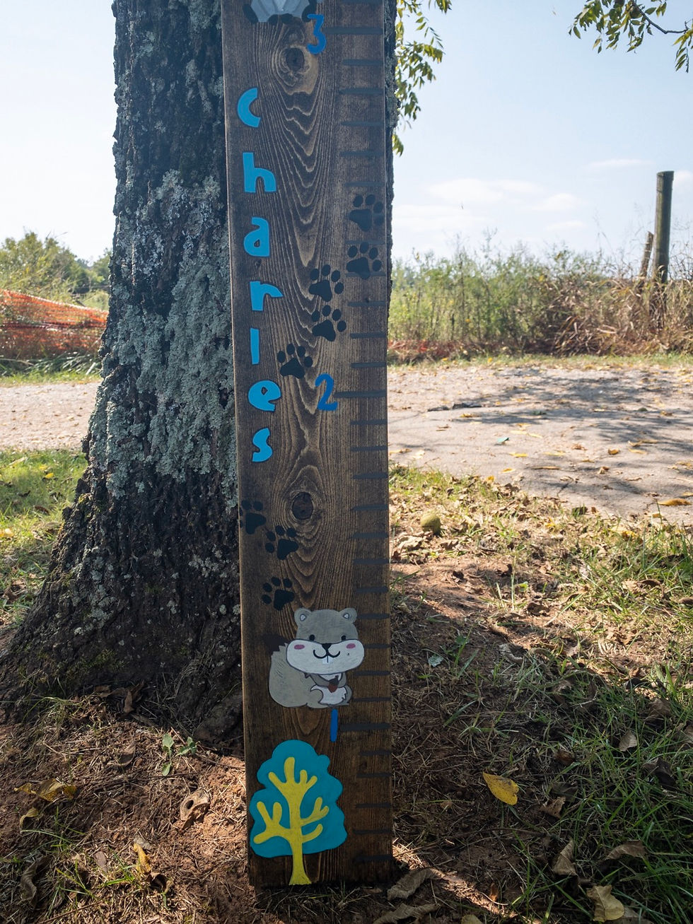 Thumbnail: 6ft Children’s Growth Ruler