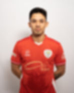 MIGUEL NORONHA