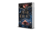 MAGIC CIRCUS - Tome 1 - La naissance du dragon