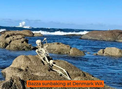 Messenger_creation_A0EE1CCB-E274-4D1A-81BD-17C3ADA30CC7_edited