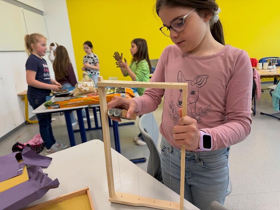 Bienenprojekt in der Grundschule