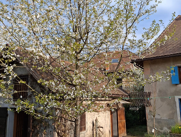 20250409_094111.jpg