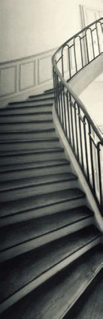 escalera.webp