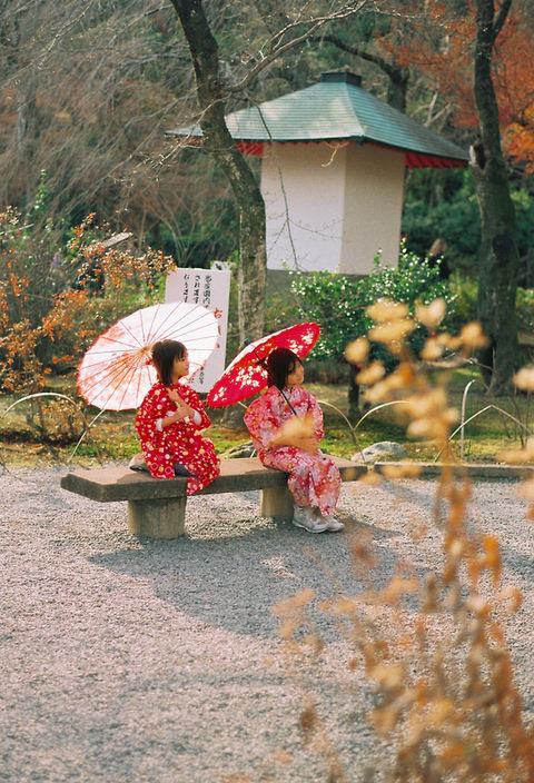 Japan - Photography →
