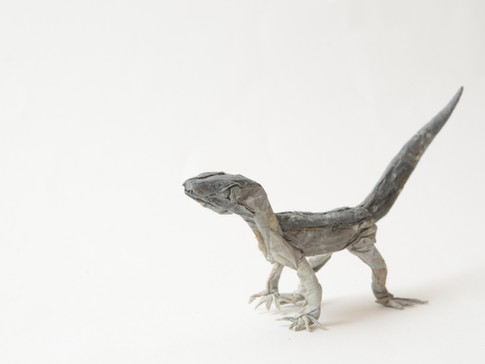 爬虫類両生類 折り紙博物画