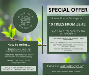 Magilligan Tree Nursery 