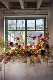 IMG_1967.jpeg