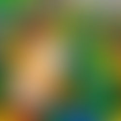 感統器材介紹(一）[球池/圓盤柱狀鞦韆/滑車]