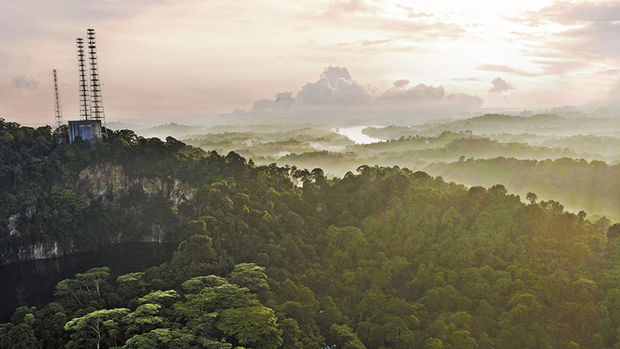 Bukit timah nature reserve & central catchment area- skyshot drone singapore-s.jpg