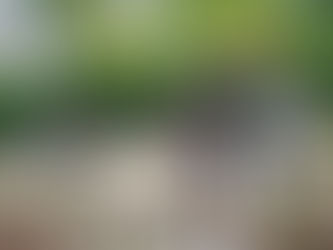 Life With Grace | January 19