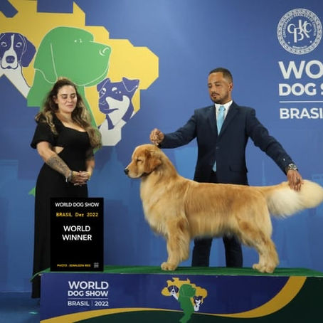 WDS Brasil 2022! Go, go Tweed!