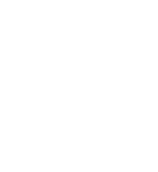 bgn-white-dots-norepeat.png