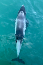 IMG_4511.jpg