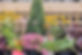 Perennials_Crag House Farm_0002.jpg