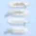 Bride Beauty Clips - 4 pc