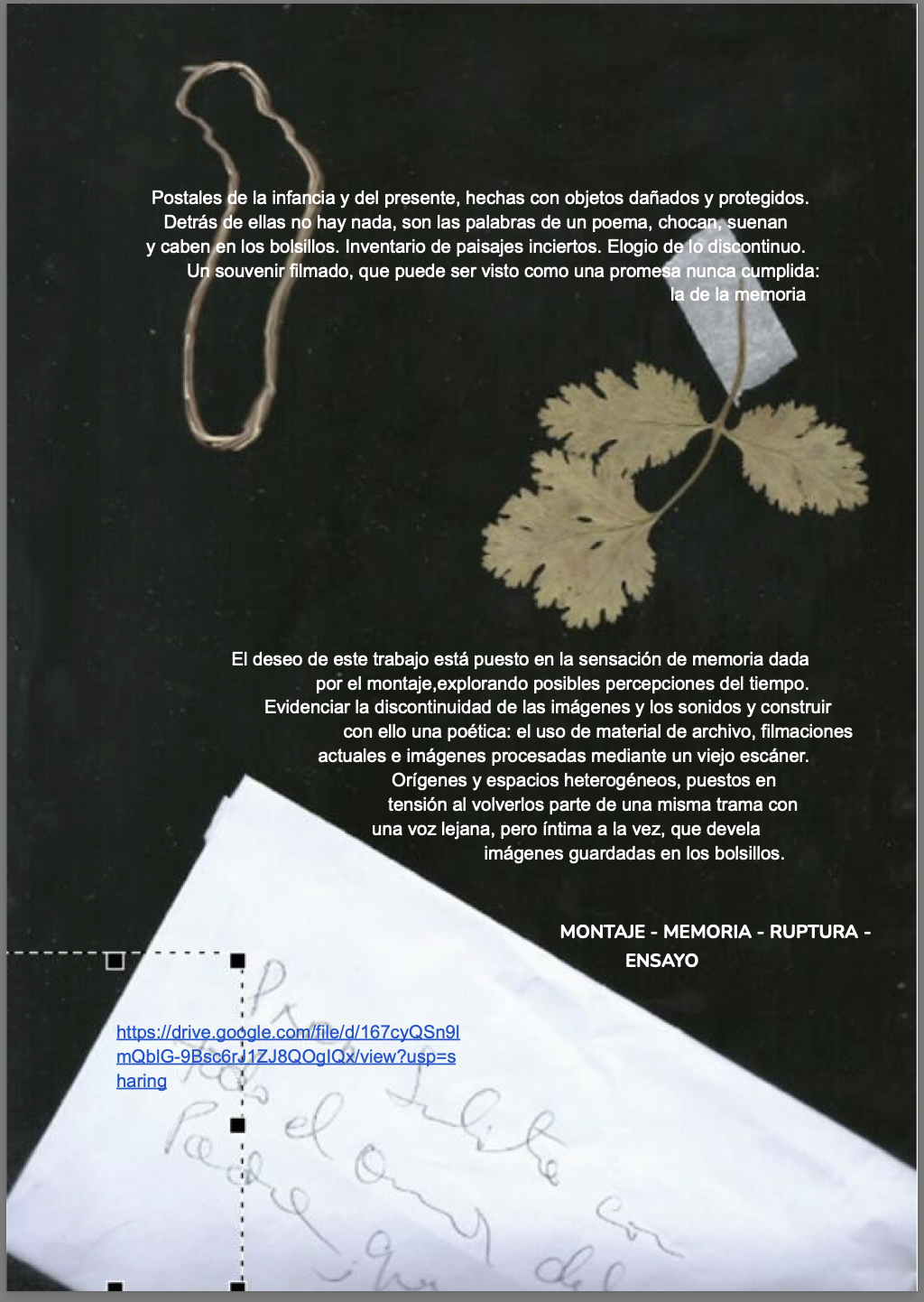 Captura de pantalla 2026-05-05 a la(s) 22.31.19.png