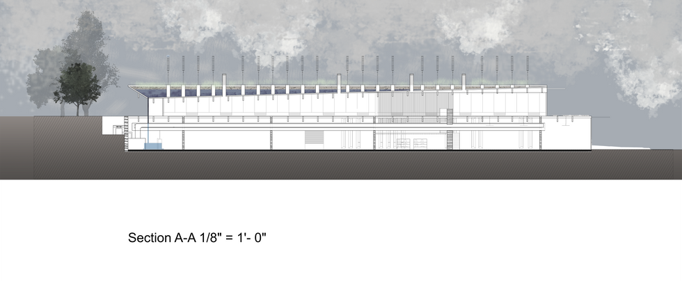 sectionlongitudefinal.withpoto