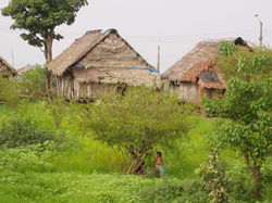 Peru '04 - Part 1 158.jpg