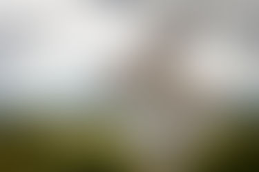 Responding To Answered Prayer