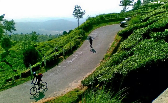 Top 10 Most Wonderful Places To Visit In Kerala