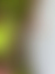 Bringing Up Caring and Responsible Men