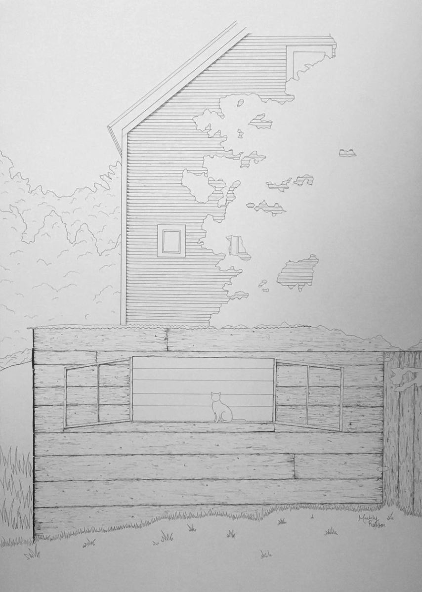 Barn Cat Progress Photo