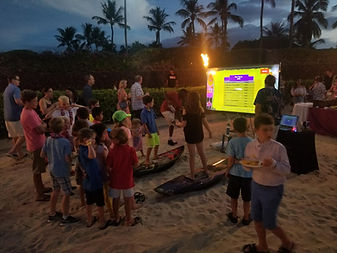 surfing simulator