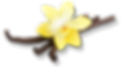 vanilla flower.png