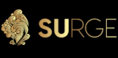 10 Reason why it's good to start training at SURGE MARKETPLACE before entering Freelancing