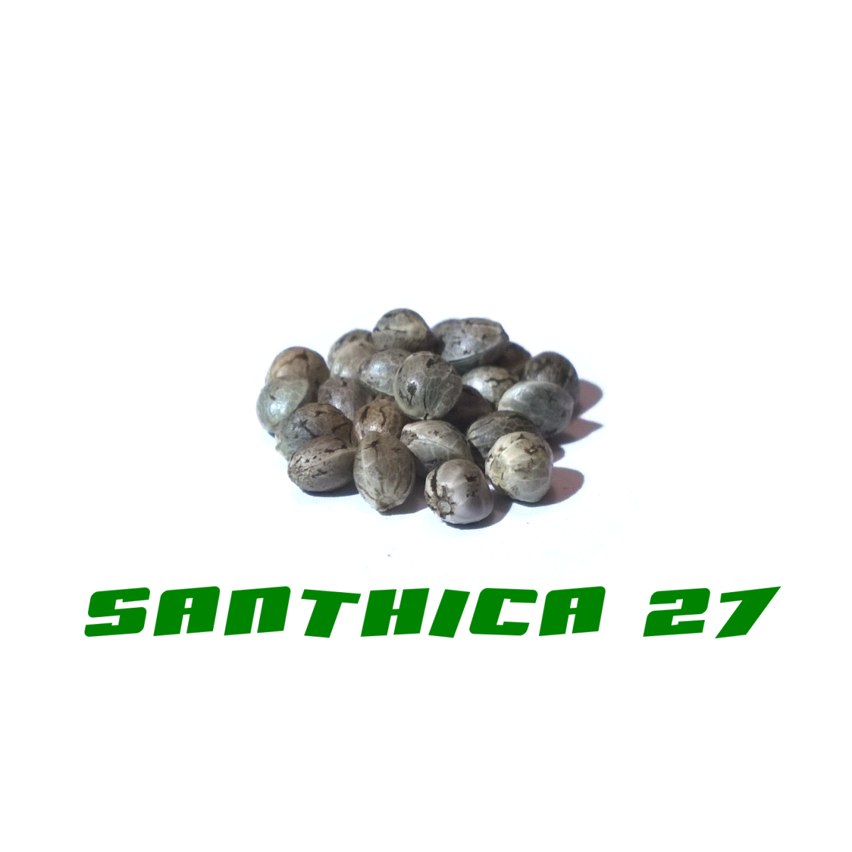 Hanfsamen Santhica 27