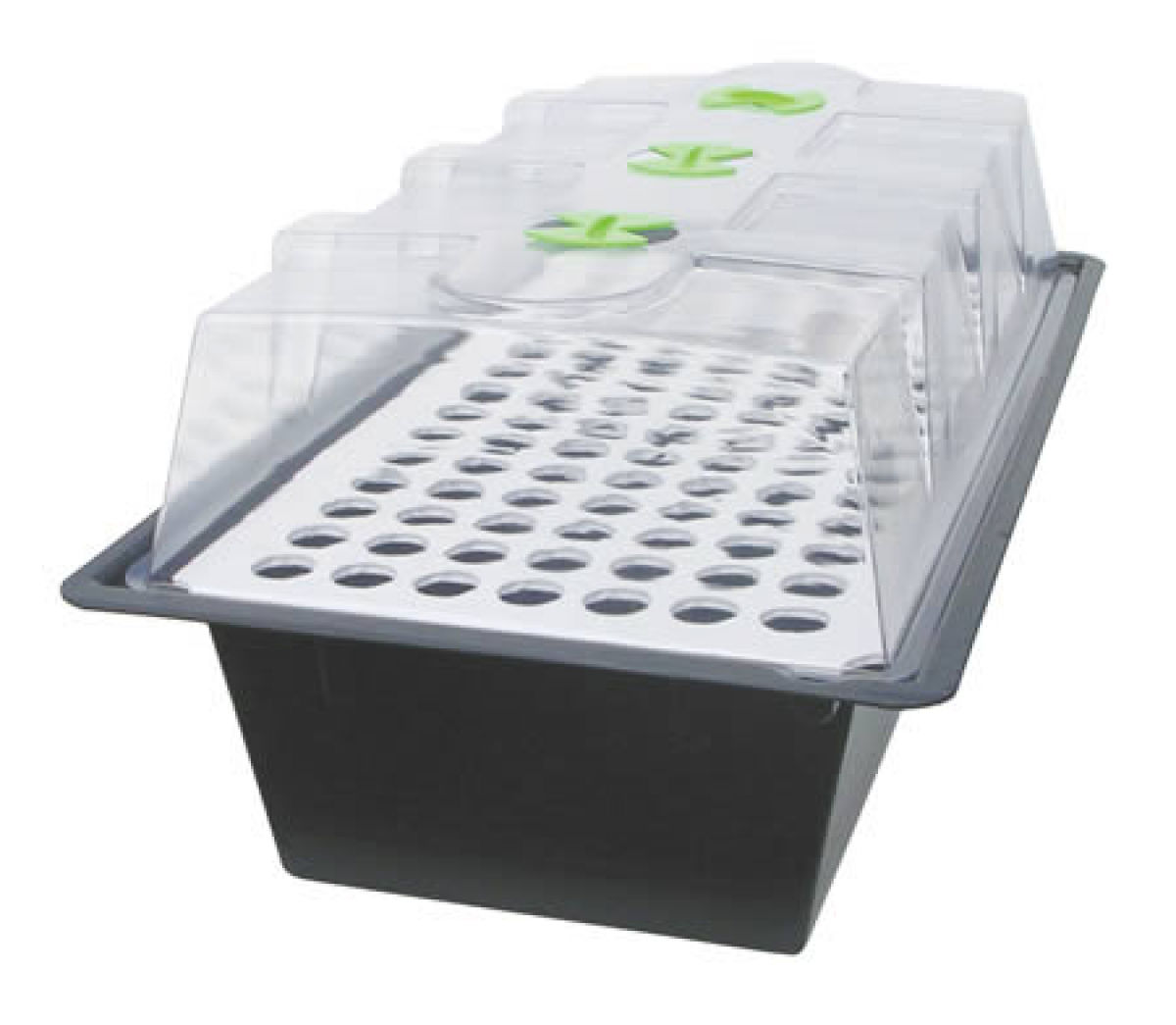 X-Stream 120 Plätze