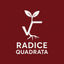 Immagine del redattore: Radice Quadrata