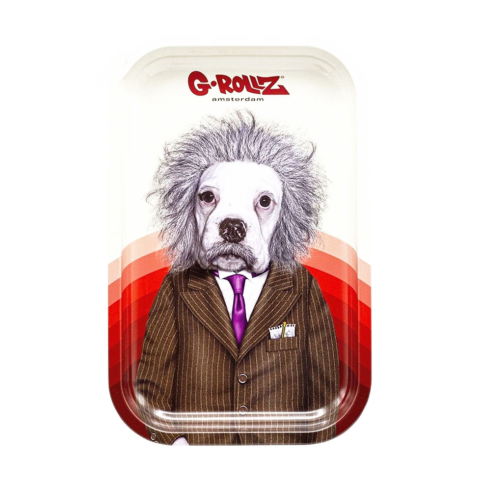 G-Rollz Rolling Tray M Pets Rock - Brain 175 x 275mm