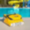 Dolphin Skimmi 200 robotic pool cleaner by a pool