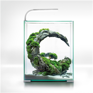 *AQUAEL D&N SHRIMP SET 30L WHITE