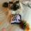 Thumbnail: Cat Toys & Blankets for Your Dog's Cat Friend