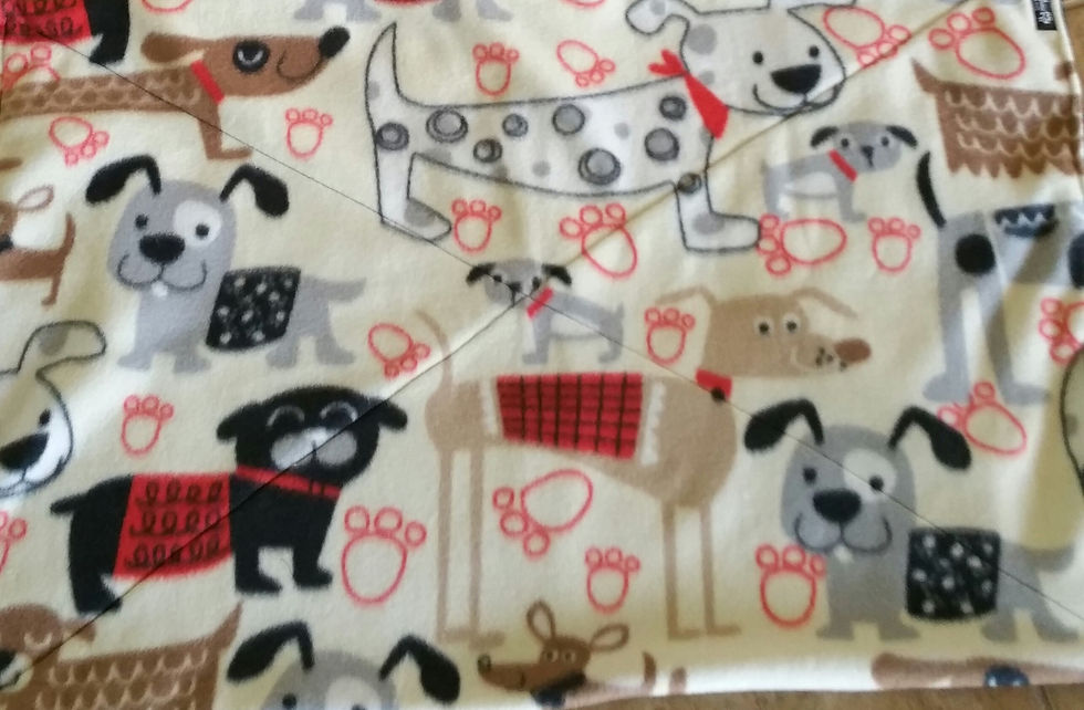 Thumbnail: Best Dog Blankets