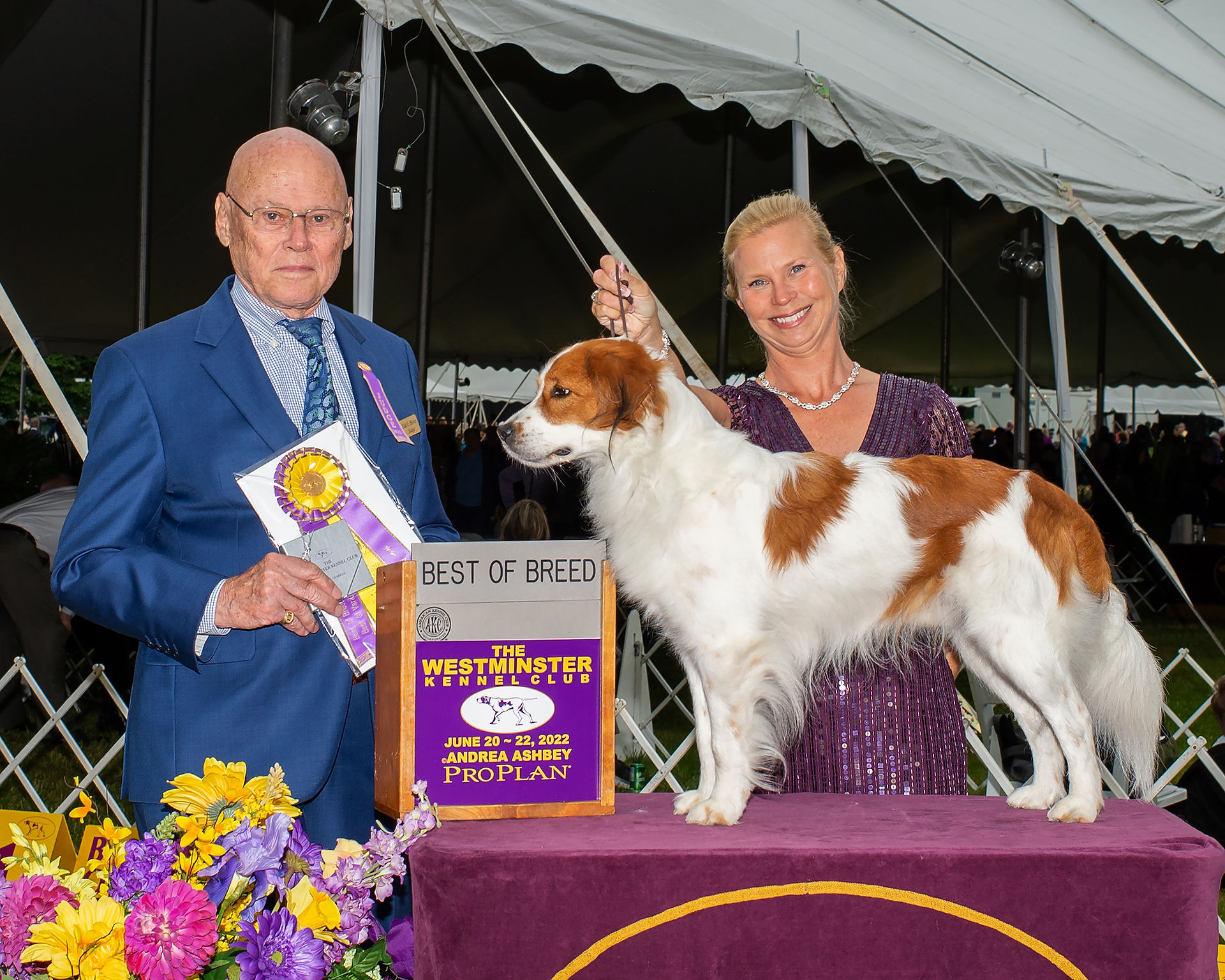 Best of Breed - Kooikerhondje