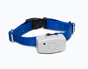 dog guard collar receiver