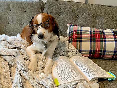 Fletcher Studying 21.jpeg