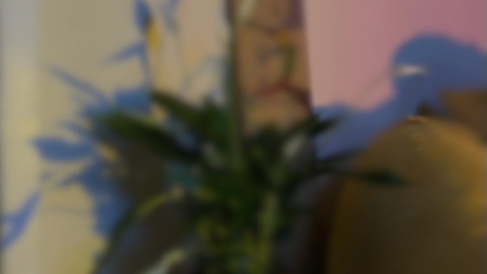 Copy of Yellow Woman Photo Frame Facebook Cover (1).png