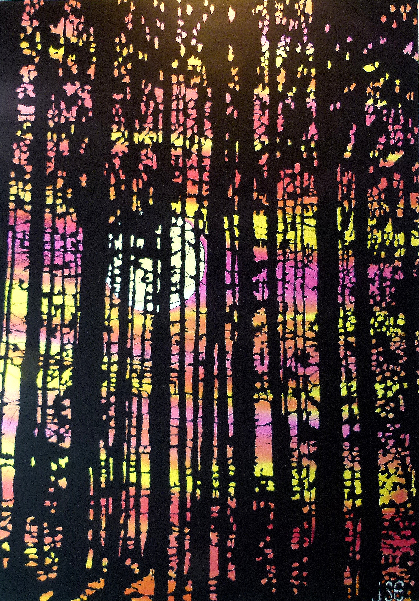 Sunset and Pines