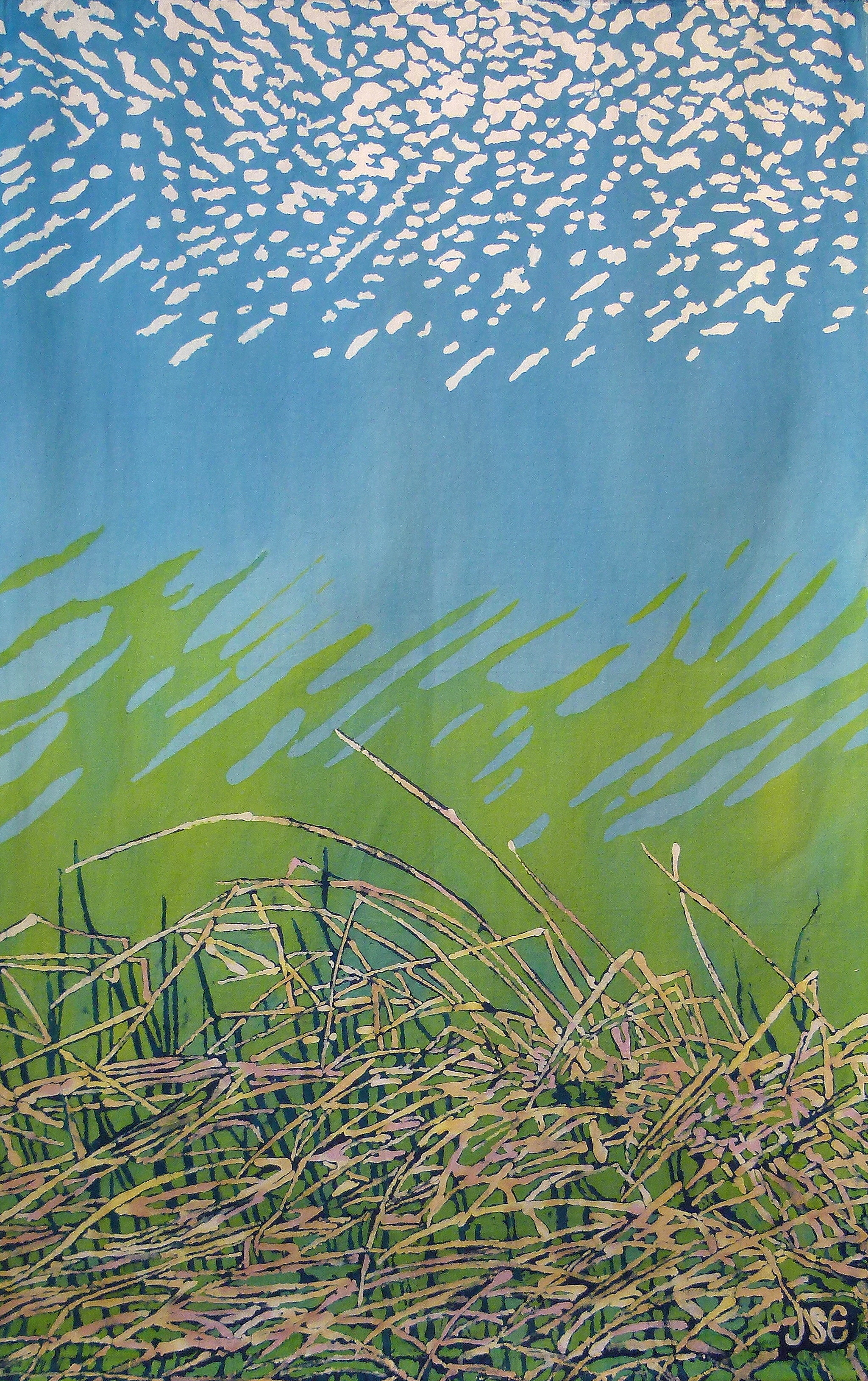 Lake Grasses